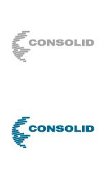 Consolid Travel